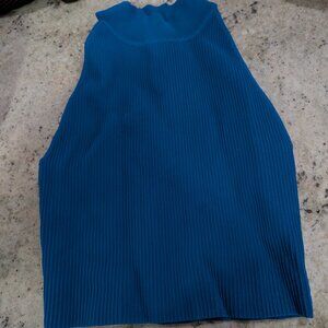 Aritzia Babaton Small Blue Crop